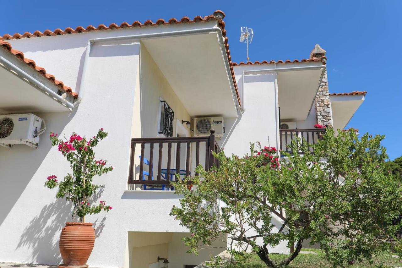 Pandora Skiathos Отель Колиос