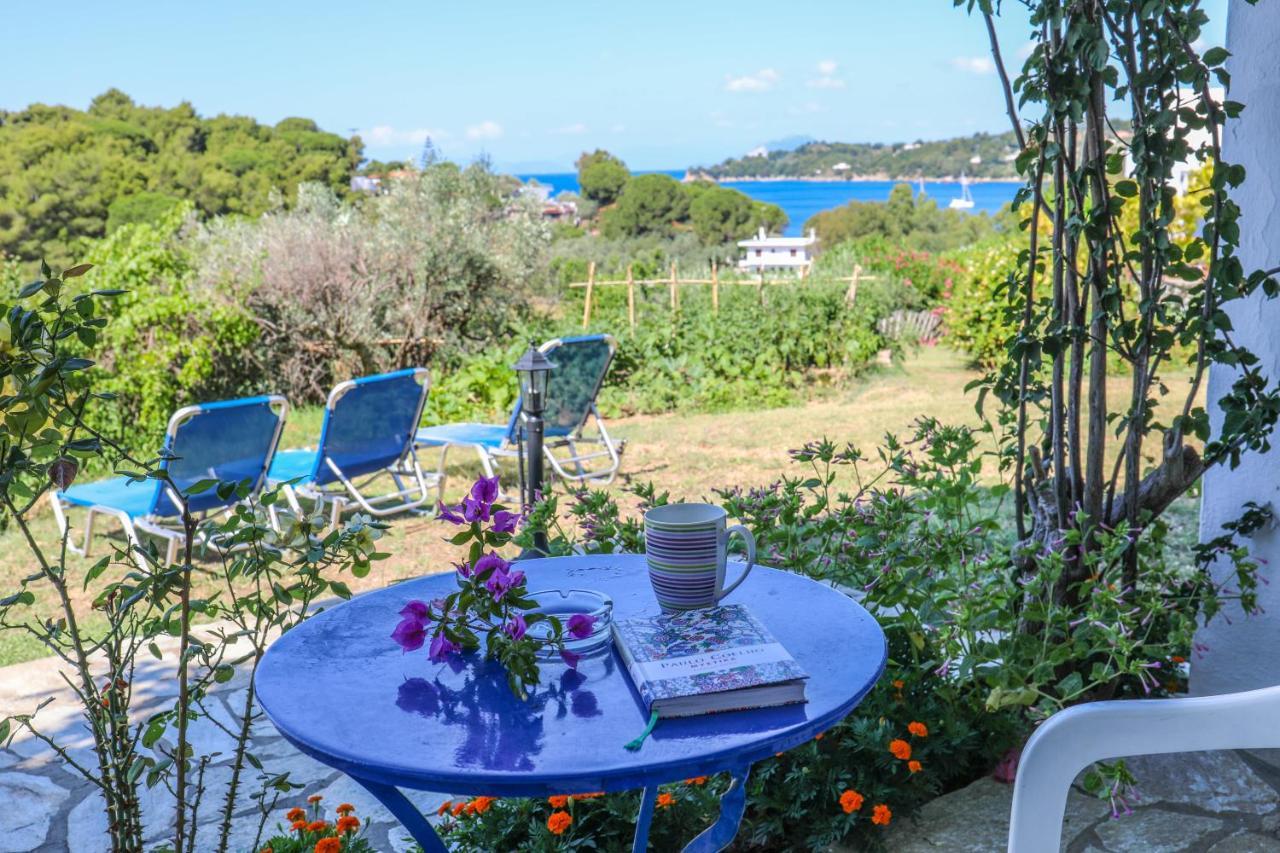 Pandora Skiathos Отель Колиос