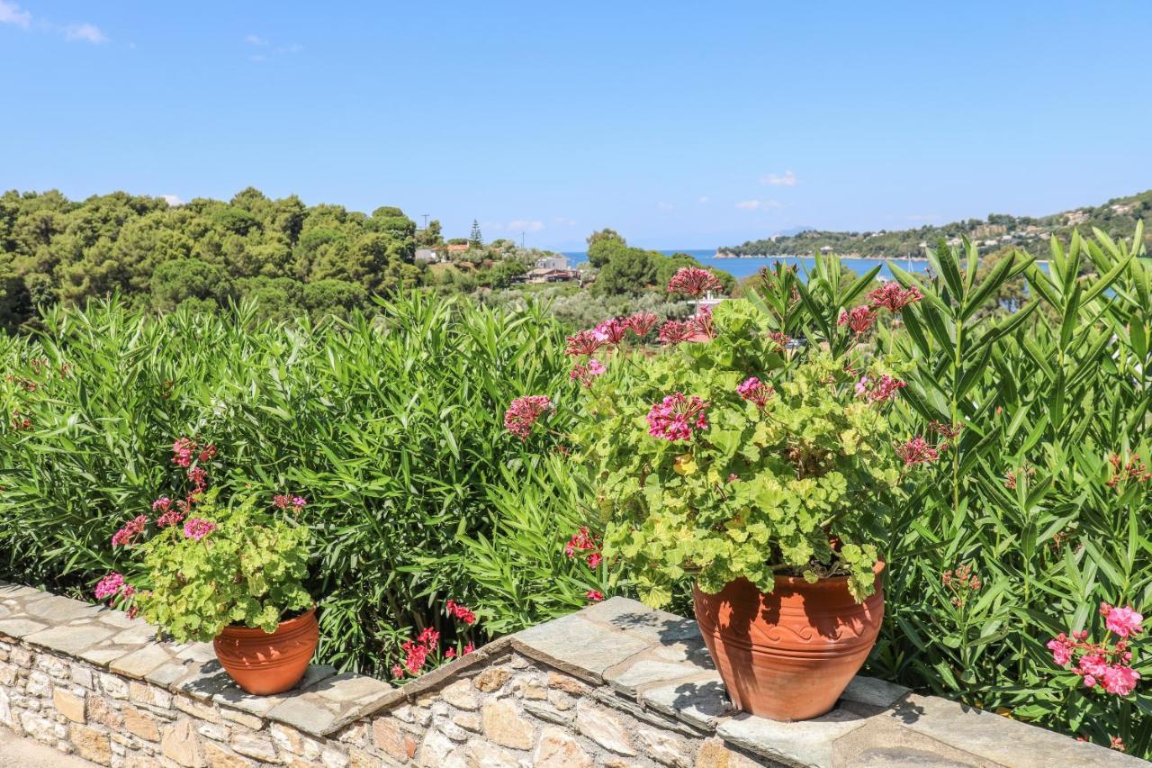 Отель Pandora Skiathos